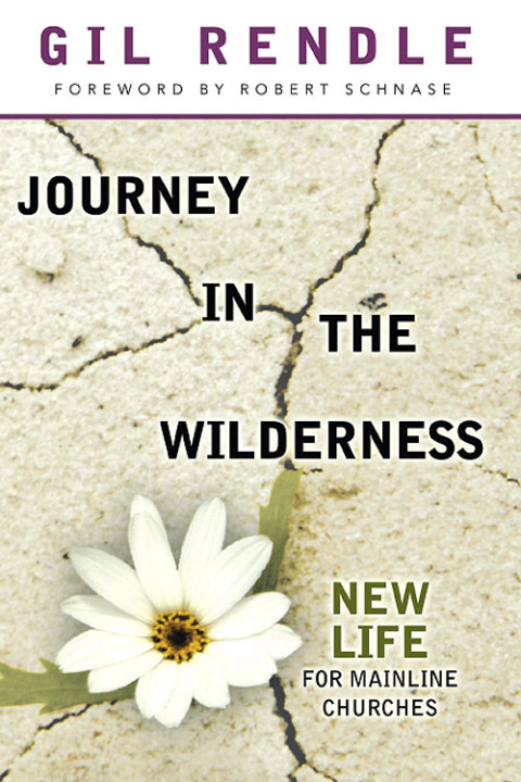 Cover image for book Journey in the Wilderness