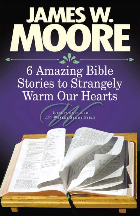 Cover image for book 6 Amazing Bible Stories to Strangely Warm Our Hearts