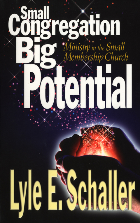 Cover image for book Small Congregation, Big Potential