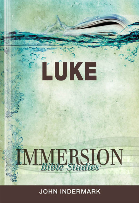 Cover image for book Immersion Bible Studies: Luke