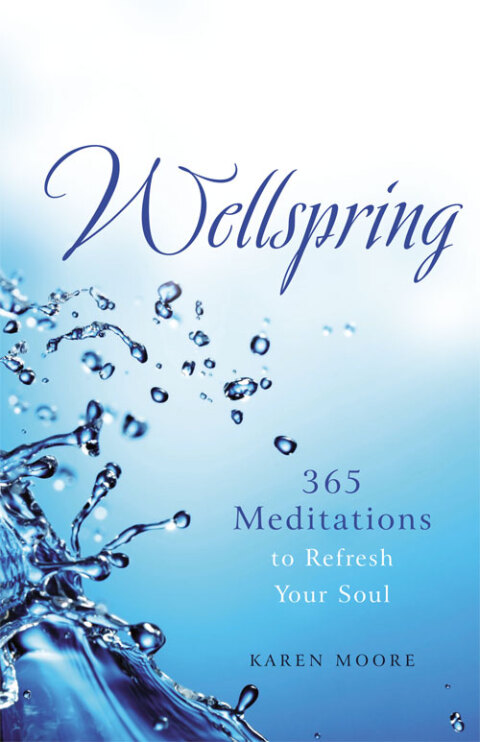 Cover image for book Wellspring