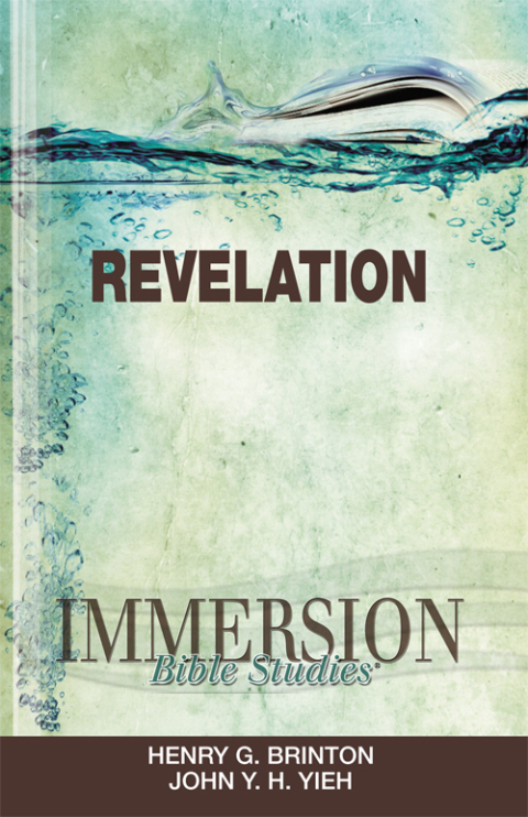 Cover image for book Immersion Bible Studies: Revelation