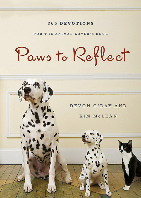 Cover image for book Paws to Reflect
