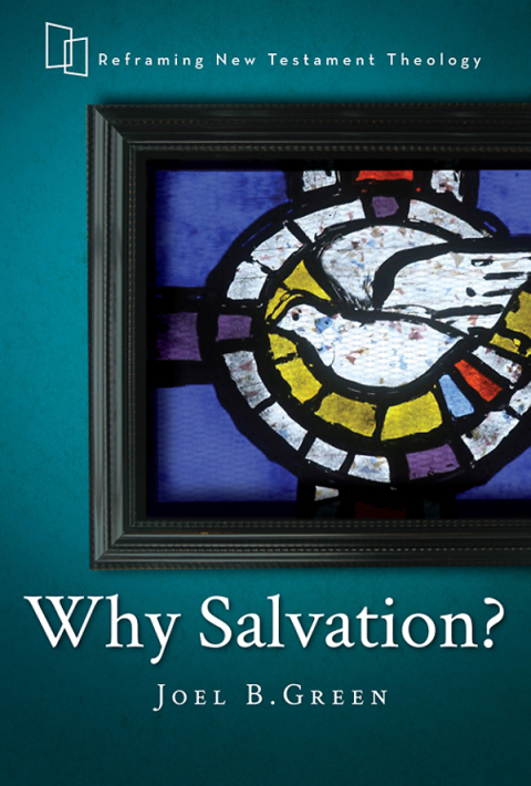 Cover image for book Why Salvation?