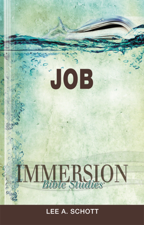 Cover image for book Immersion Bible Studies: Job