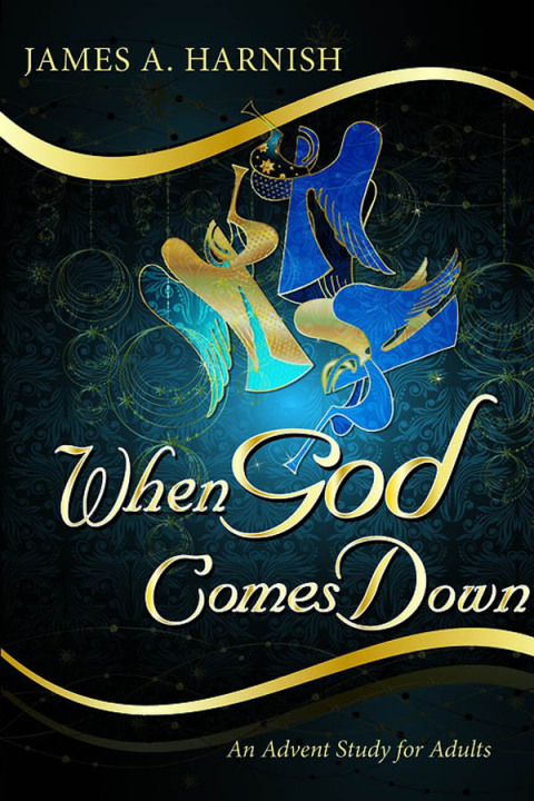 Cover image for book When God Comes Down