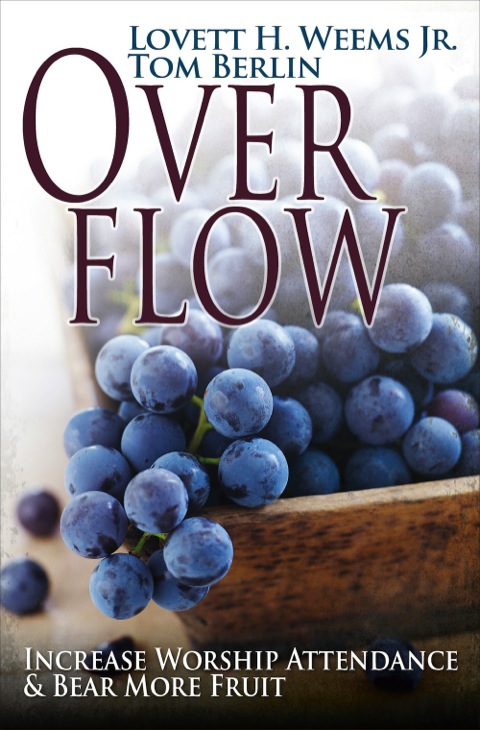 Cover image for book Overflow
