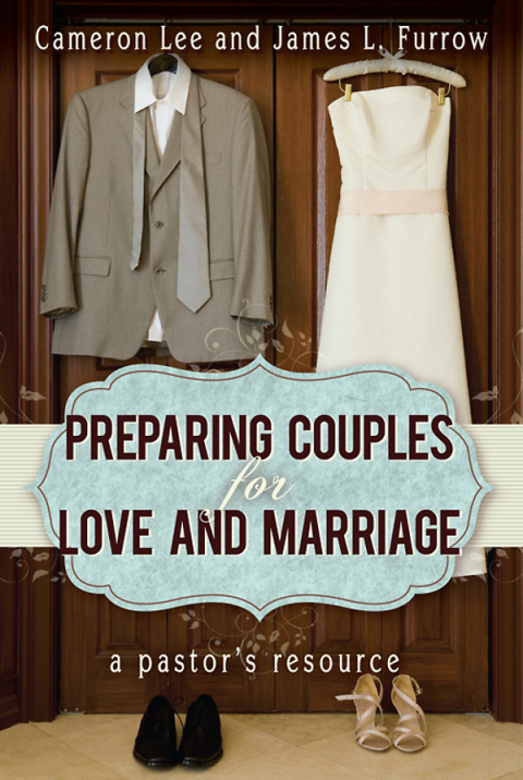 Cover image for book Preparing Couples for Love and Marriage