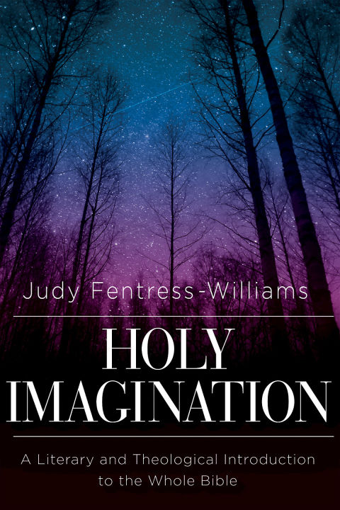 Cover image for book Holy Imagination