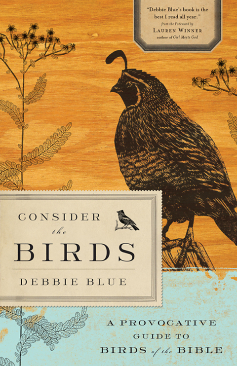 Cover image for book Consider the Birds