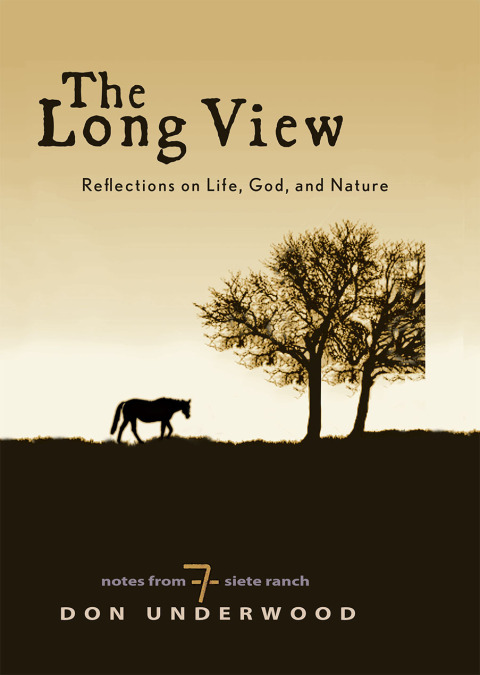 Cover image for book The Long View