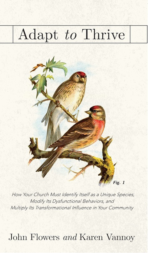 Cover image for book Adapt to Thrive