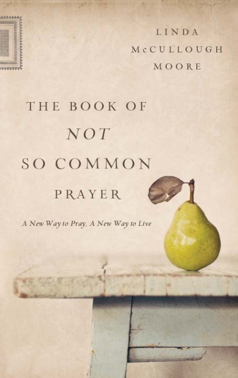 Cover image for book The Book of Not So Common Prayer