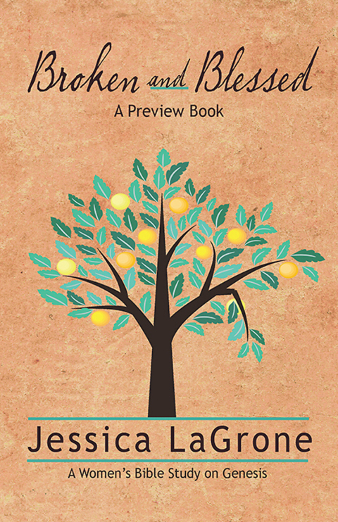 Cover image for book Broken and Blessed - Preview Book