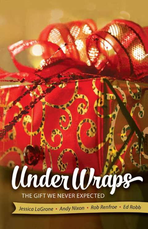 Cover image for book Under Wraps Adult Study Book