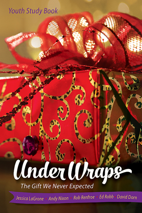 Cover image for book Under Wraps Youth Study Book