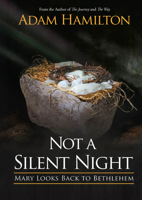 Cover image for book Not a Silent Night