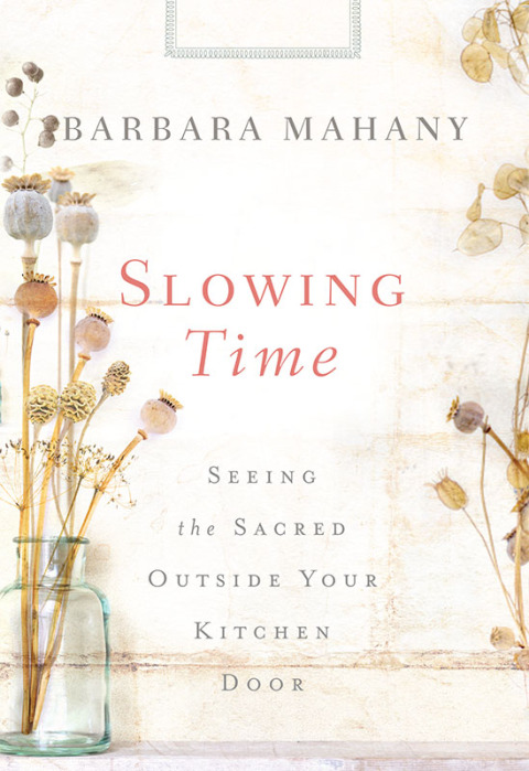 Cover image for book Slowing Time