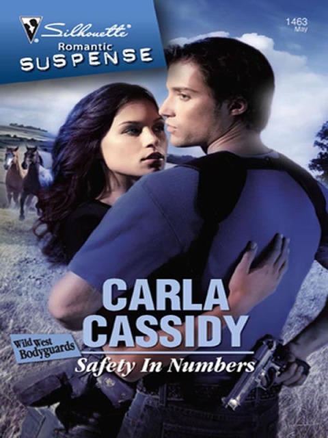 Cover image for book Safety in Numbers