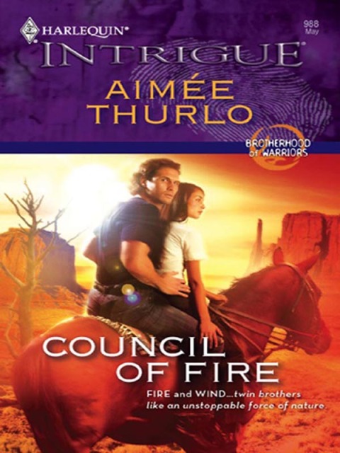 Cover image for book Council of Fire