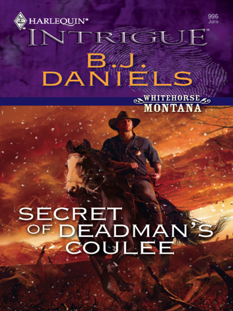 Cover image for book Secret of Deadman's Coulee