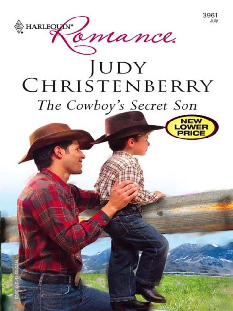 Cover image for book The Cowboy's Secret Son