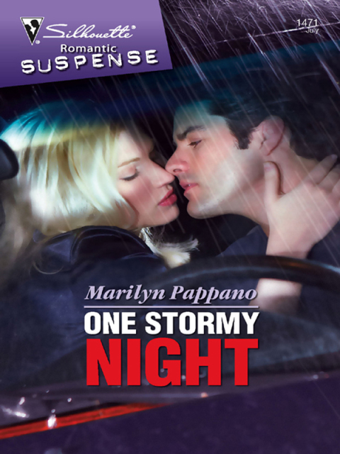 Cover image for book One Stormy Night