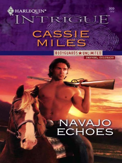 Cover image for book Navajo Echoes