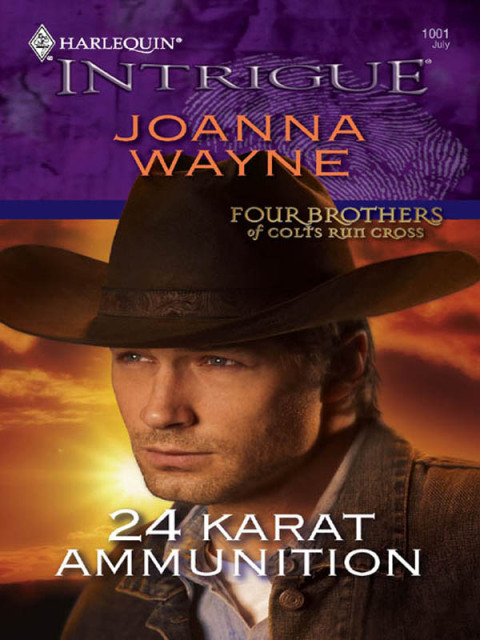 Cover image for book 24 Karat Ammunition