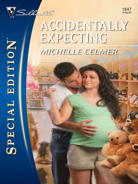 Cover image for book Accidentally Expecting