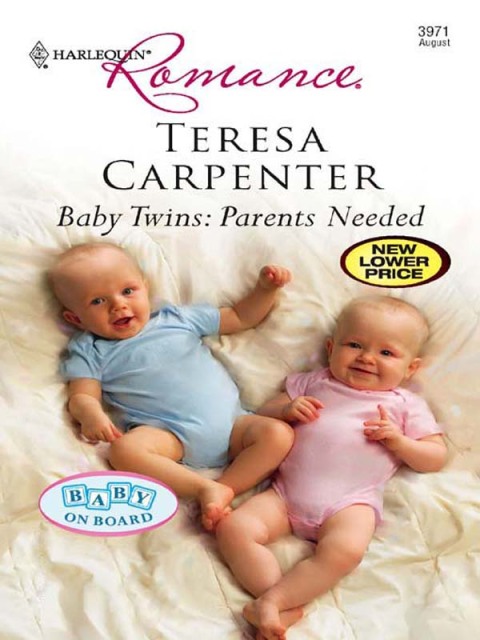 Cover image for book Baby Twins: Parents Needed