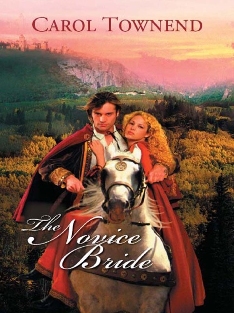 Cover image for book The Novice Bride