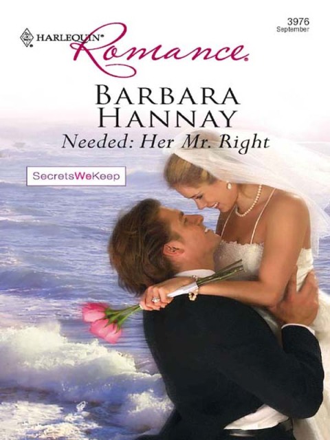 Cover image for book Needed: Her Mr. Right