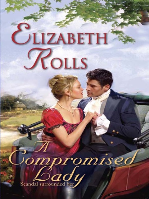 Cover image for book A Compromised Lady