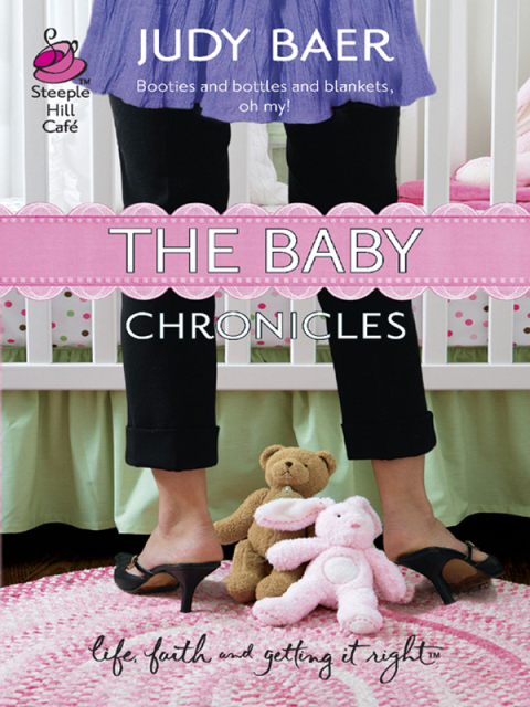 Cover image for book The Baby Chronicles