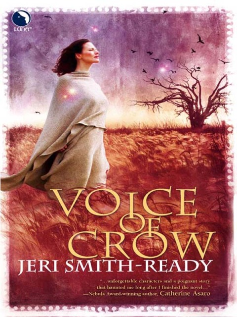 Cover image for book Voice of Crow