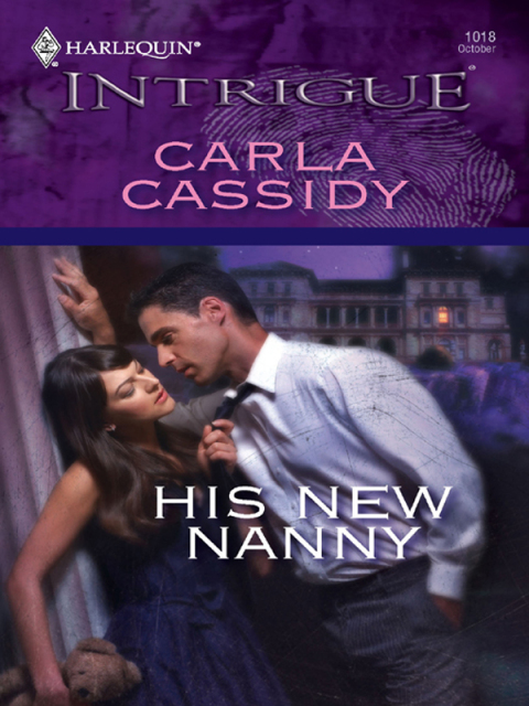 Cover image for book His New Nanny