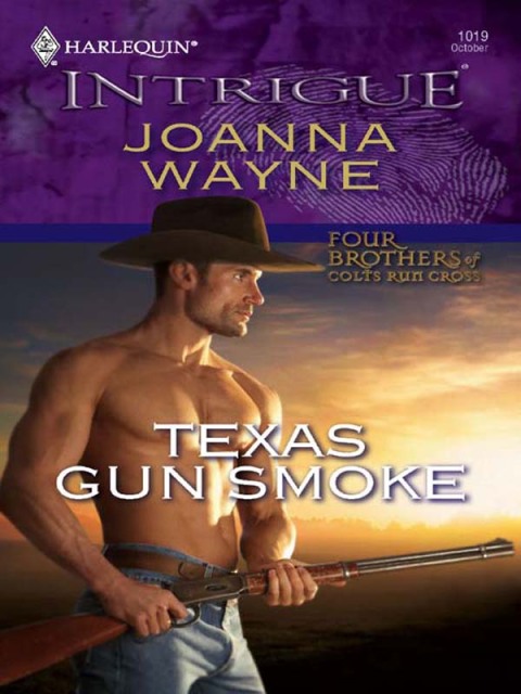 Cover image for book Texas Gun Smoke