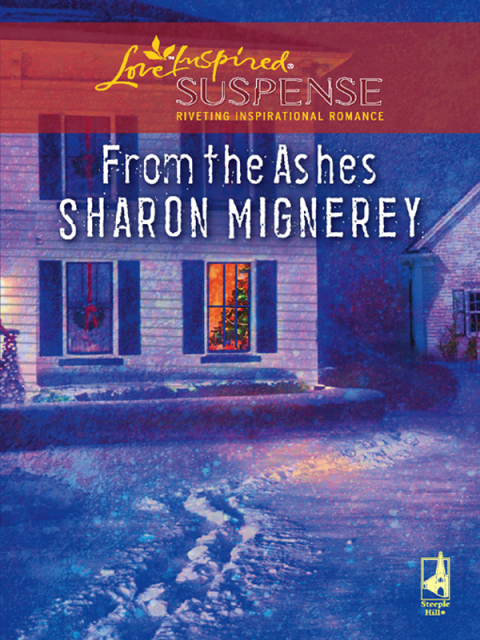 Cover image for book From the Ashes
