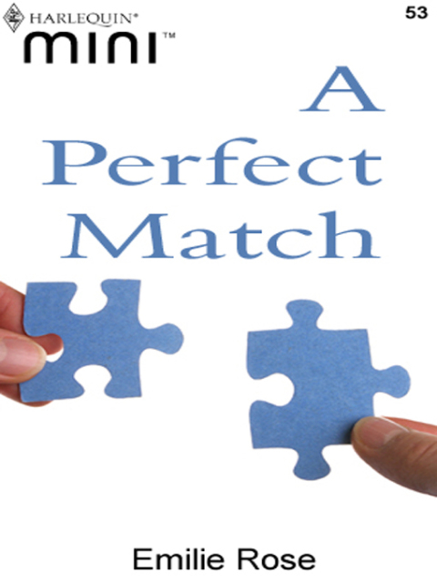 Cover image for book A Perfect Match