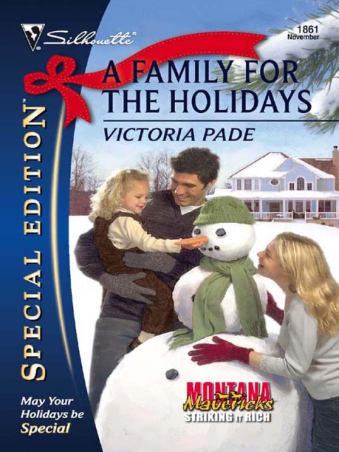 Cover image for book A Family for the Holidays