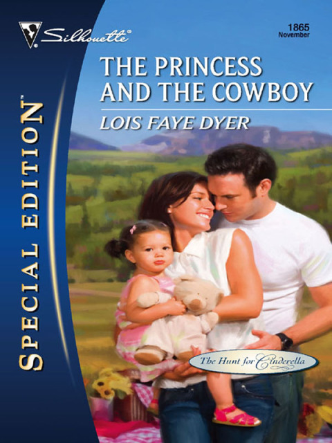Cover image for book The Princess and the Cowboy