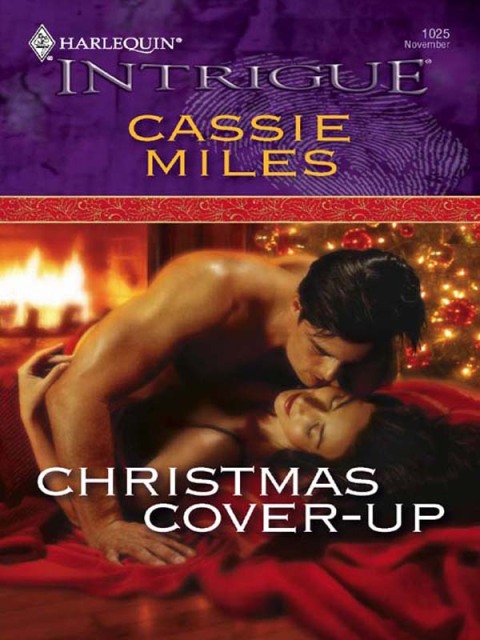 Cover image for book Christmas Cover-up