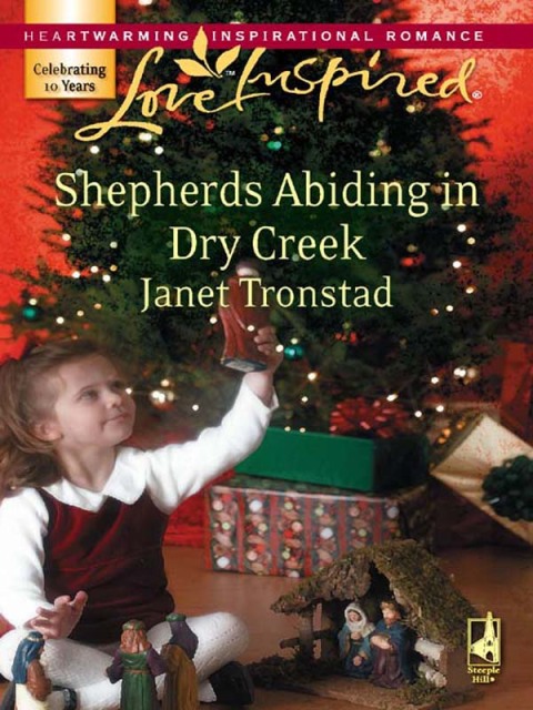 Cover image for book Shepherds Abiding in Dry Creek