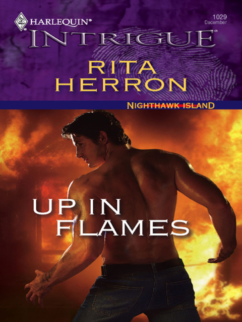 Cover image for book Up in Flames