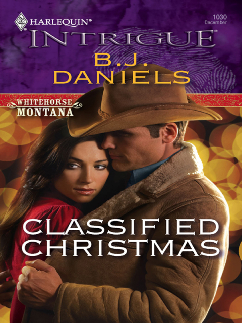 Cover image for book Classified Christmas