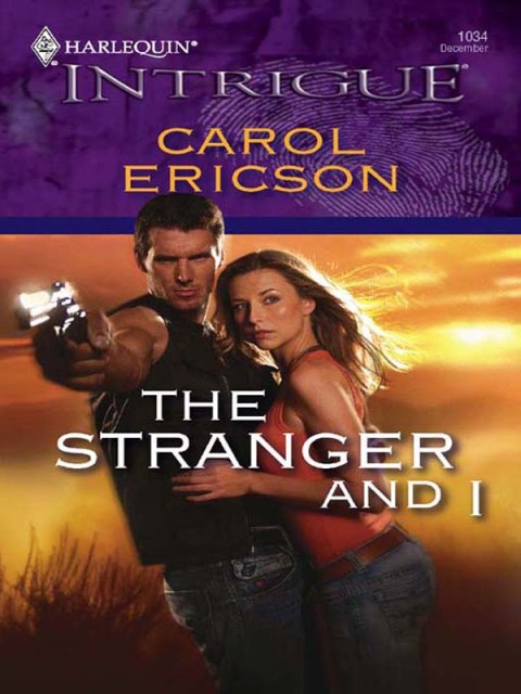 Cover image for book The Stranger and I