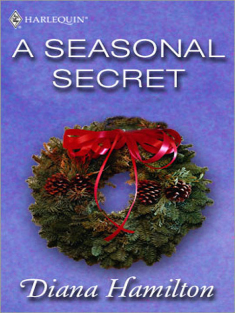 Cover image for book A Seasonal Secret