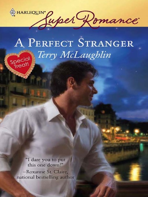 Cover image for book A Perfect Stranger