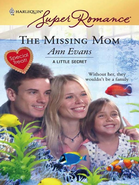 Cover image for book The Missing Mom